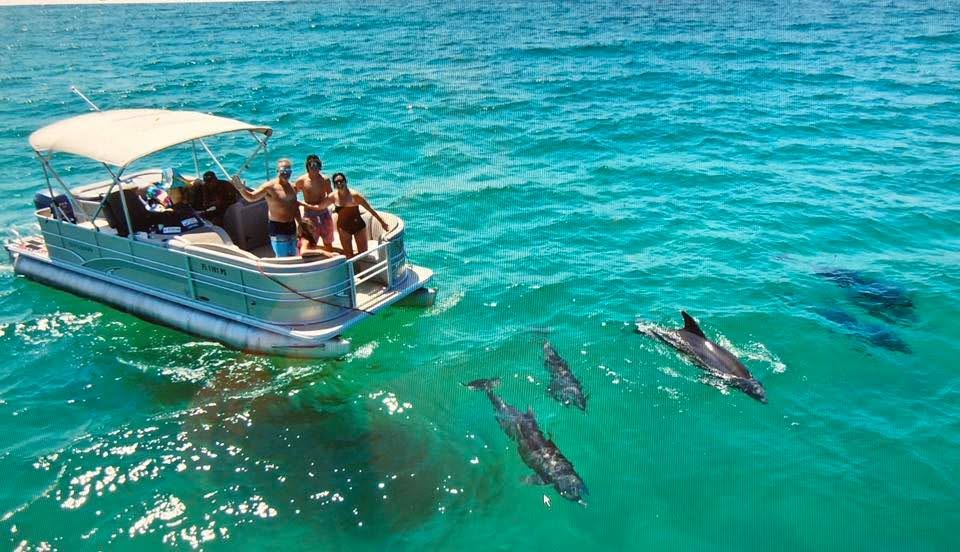 Pontoon boat on bright blue water with dolphins nearby