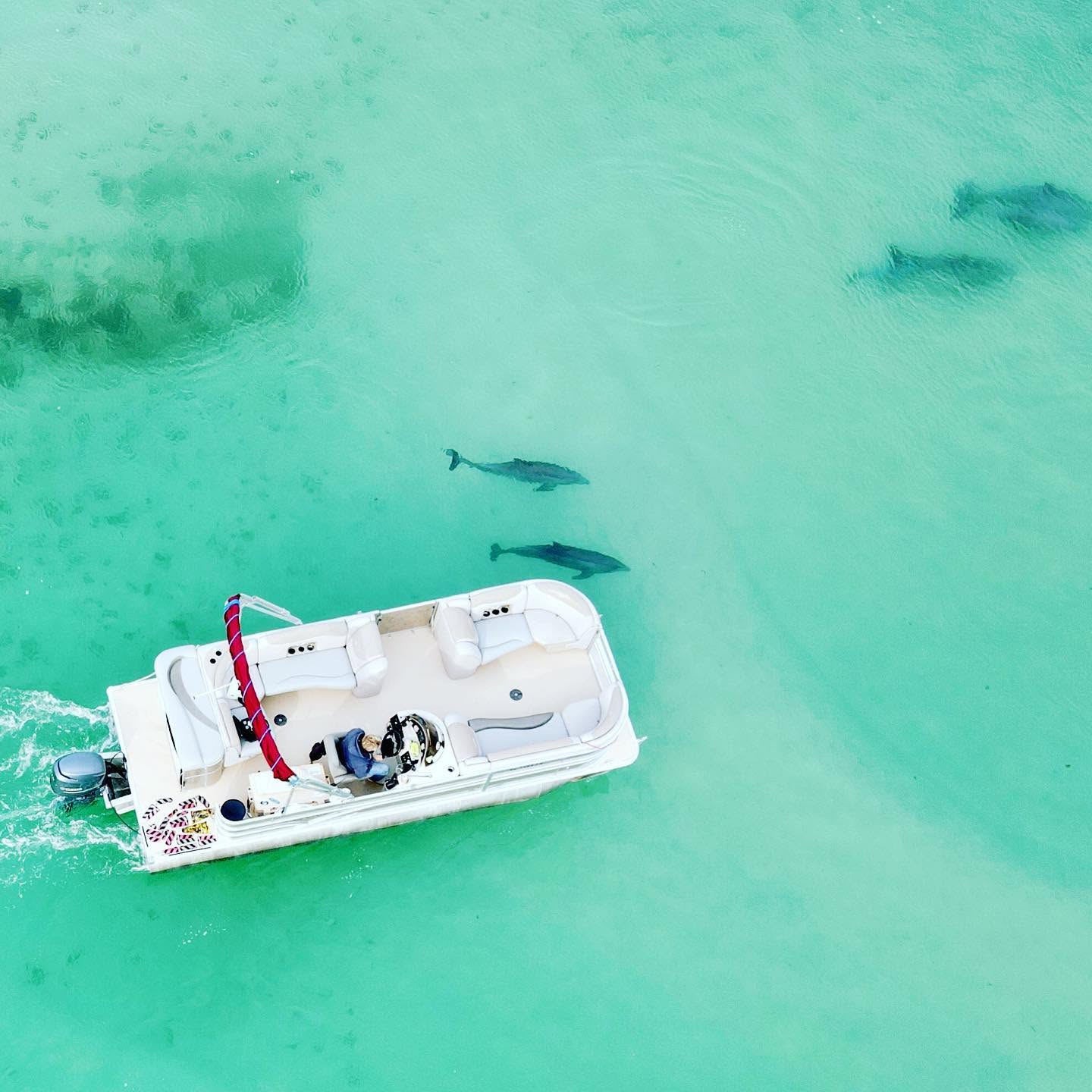 Single-decker pontoon on clear water